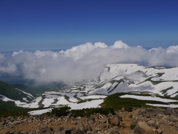 P1000999 (640x480)